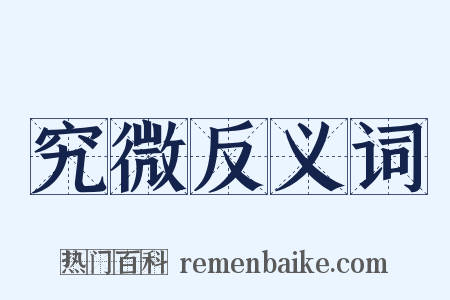 究微反义词是什么意思的图片